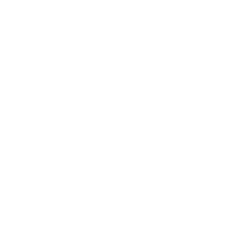 DSR - Décolletage Saint Romain
